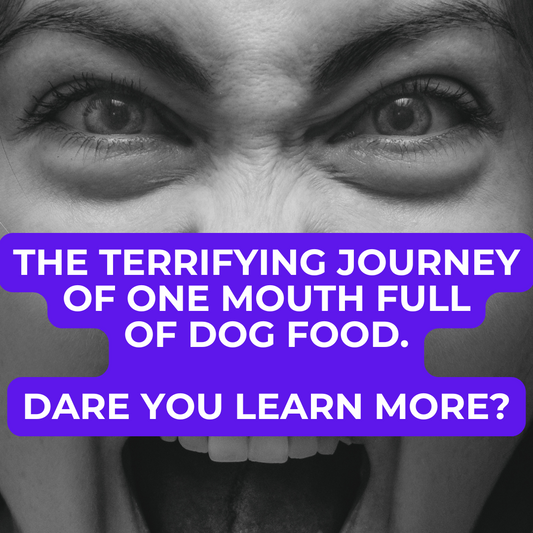 The Journey Of Just A Mouthful - It's The Ride Of Your Life