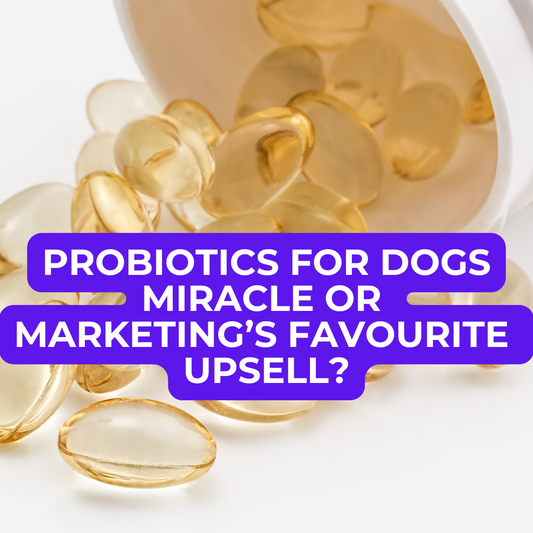 🐾 Probiotics for Dogs — Miracle or Marketing’s Favourite Upsell?