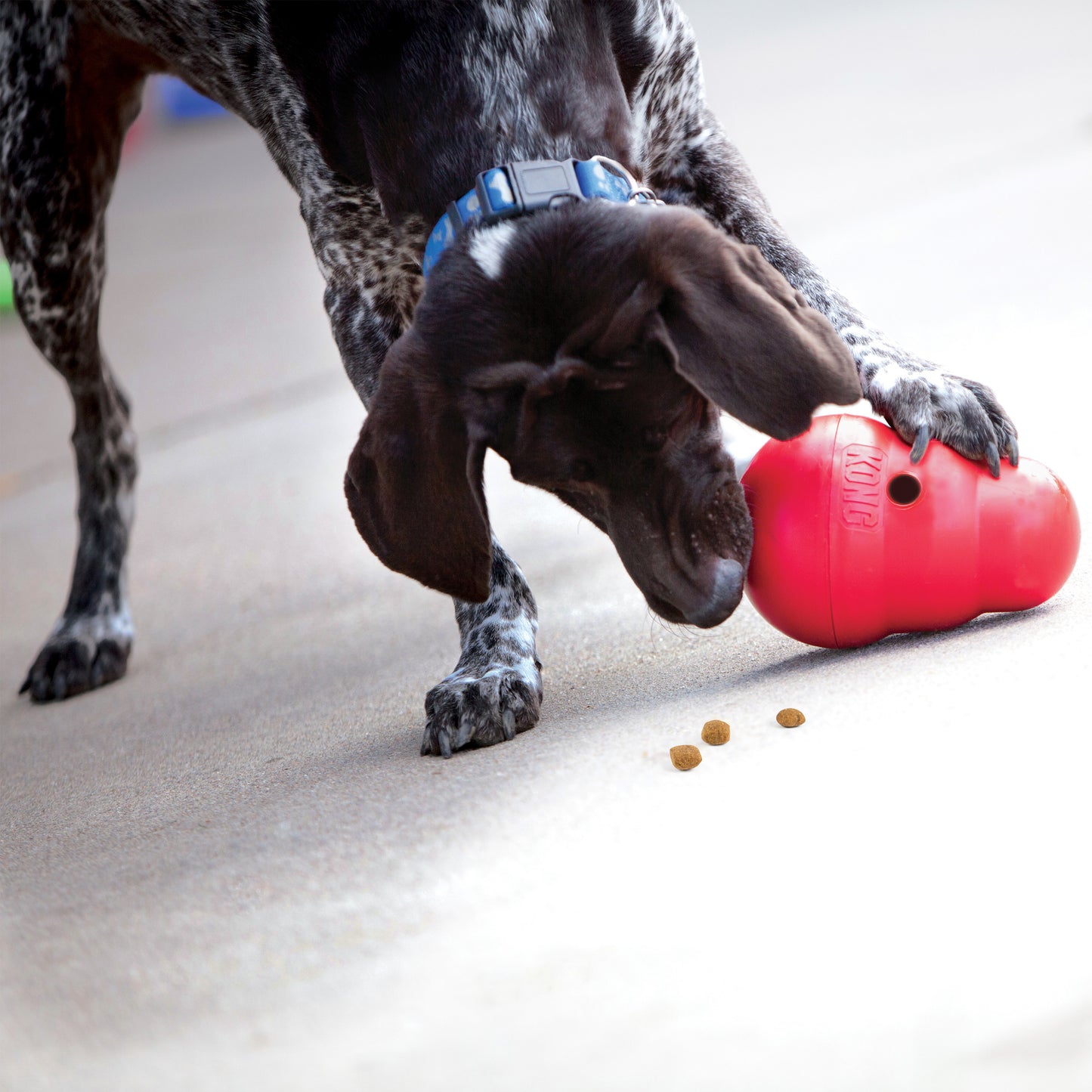 KONG Wobbler Treat Dispenser - 2 Sizes