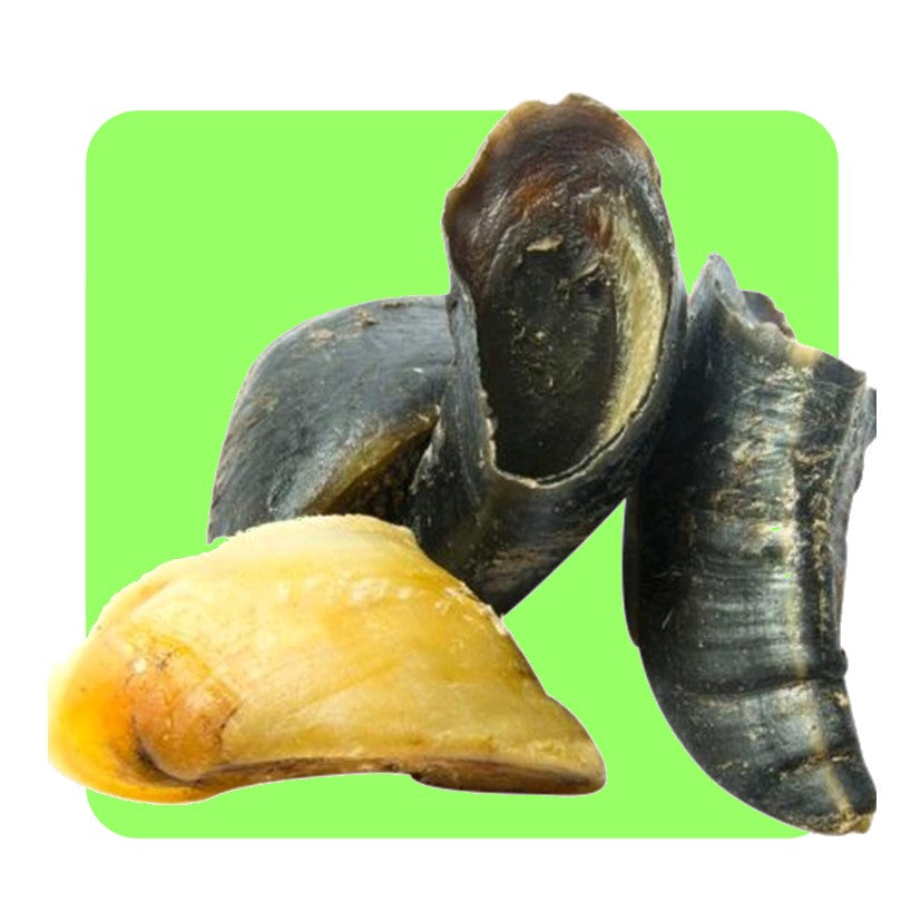 Cow Hooves (Natural Dog Treats)