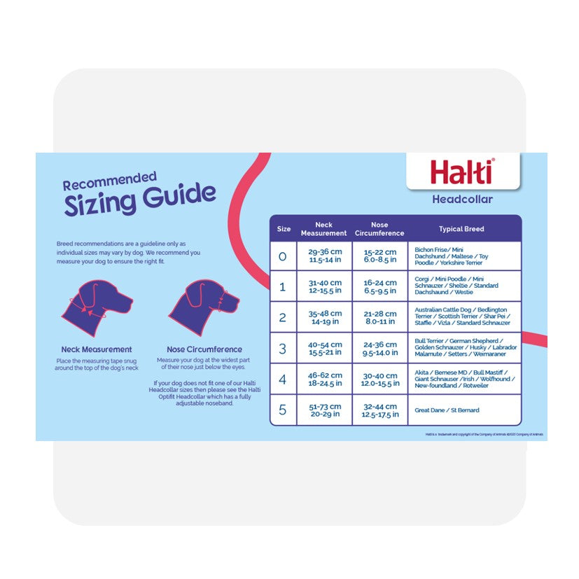Halti Headcollar Red