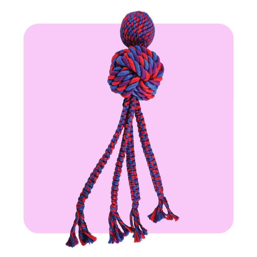 KONG Wubba Weaves With Rope