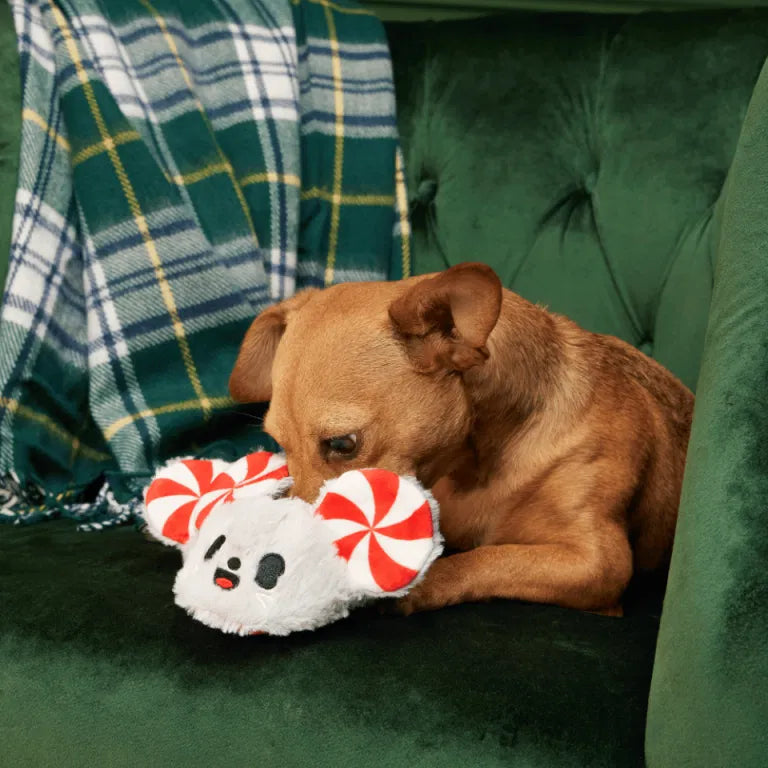 BARK Christmas Dog Toys Limited Stock