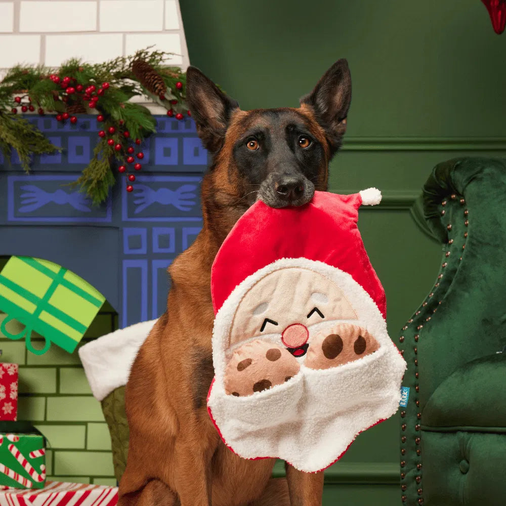 KONG & BARK Holiday Christmas Dog Toy Range - Limited Stock
