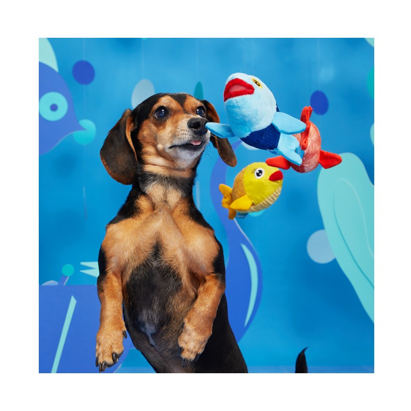 BARK Koa Koala, Live Bait Bites, Pearl Squirrel & The Groupers Soft Dog Toys