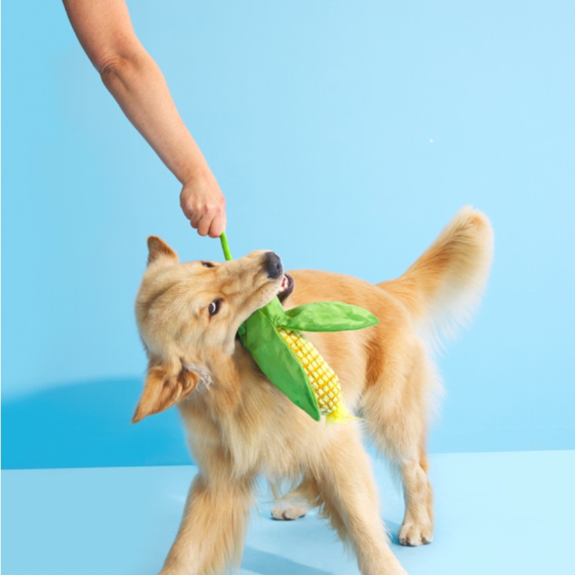BARK Corn On The Slob, Odd Otto, Paula's Park Slope Pretzel & Corn On The Slob Dog Toys