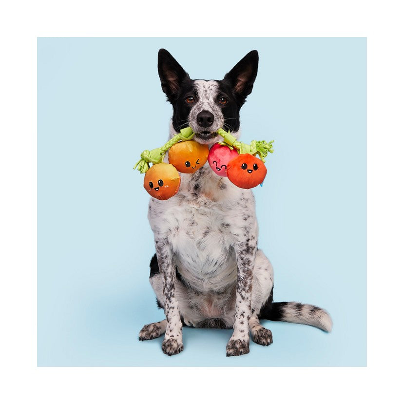 BARK Alps Tail Boots, Ani The Nene Goose, Hairloom Tomatoes & Kangaroo Tossing Plush & Rope Dog Toys