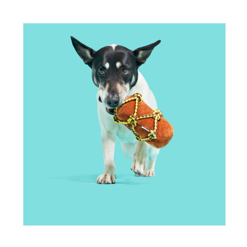 BARK Barkbeard's Rum, Karri Crocodile, Majestic Marty & Pippi Platypus Soft Dog Toys