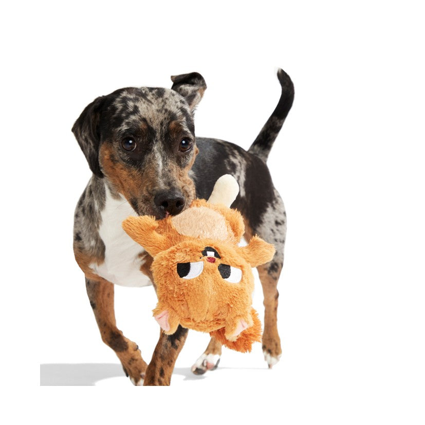BARK Koa Koala, Live Bait Bites, Pearl Squirrel & The Groupers Soft Dog Toys