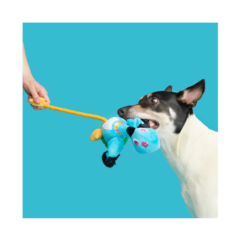 BARK Alps Tail Boots, Ani The Nene Goose, Hairloom Tomatoes & Kangaroo Tossing Plush & Rope Dog Toys