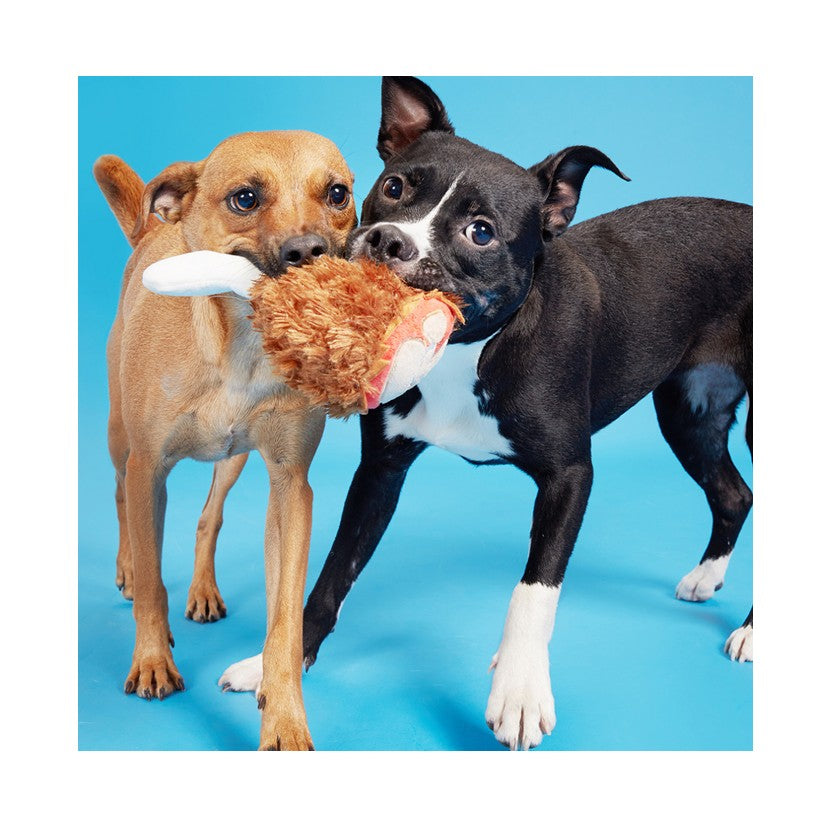 BARK Dragonfly Guy, Good Vibes Gary, Humbert The Dragon & Tavern Turkey Leg Plush Dog Toys