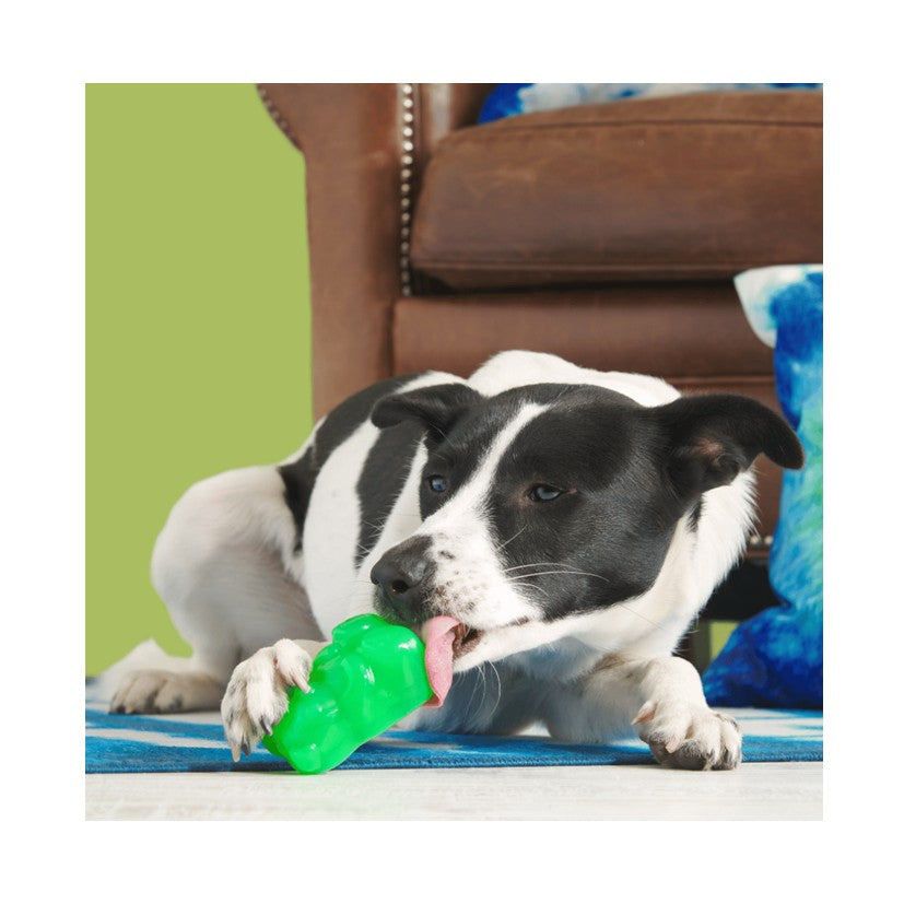 BARK Crocness Monster, Munchie The Bear, I-Squeak Cone & Trippy Toadstool - Super Chewer Dog Toys
