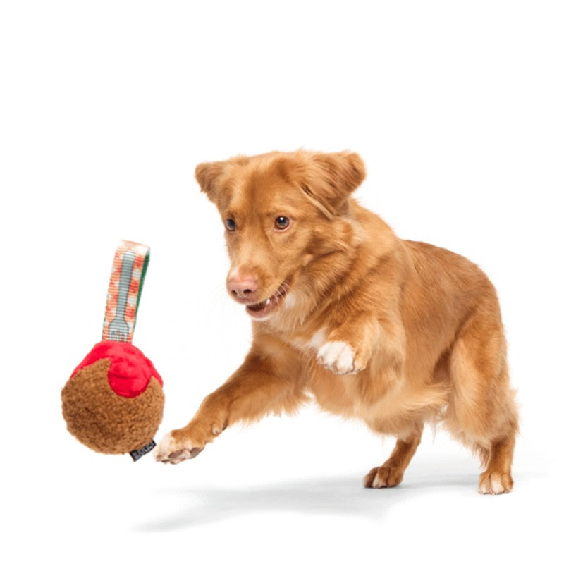 BARK A Squeaky Meat-A-Ball, Habanero Pupper, Hare Raiser & Hippie Hopper - Super Chewer Dog Toys