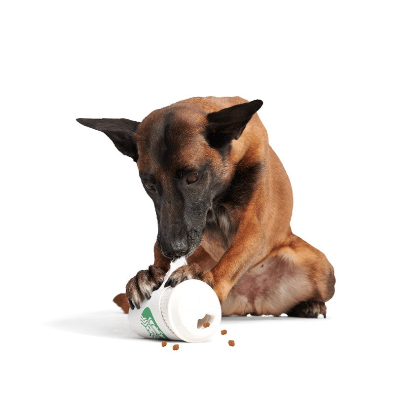 BARK Go Mango, Hambone, Pupkin Spice Yappucino & Wild Boris - Super Chewer - Treat Dispensers