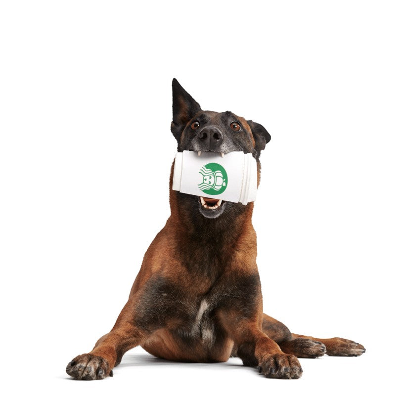 BARK Go Mango, Hambone, Pupkin Spice Yappucino & Wild Boris - Super Chewer - Treat Dispensers
