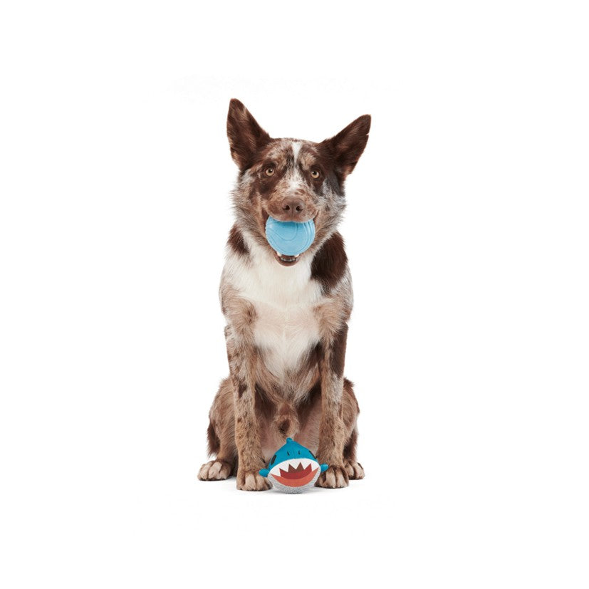 BARK Acornucopia, Blue Power Flower, Great White Dwight & Turkey Barker - Super Chewer Dog Toys