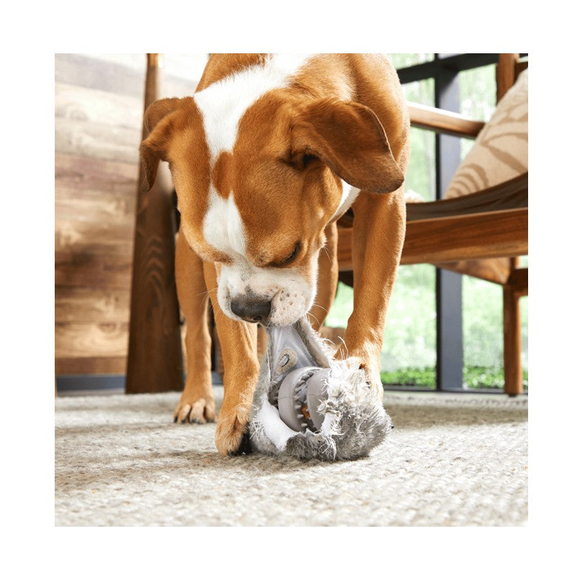 BARK A Squeaky Meat-A-Ball, Habanero Pupper, Hare Raiser & Hippie Hopper - Super Chewer Dog Toys
