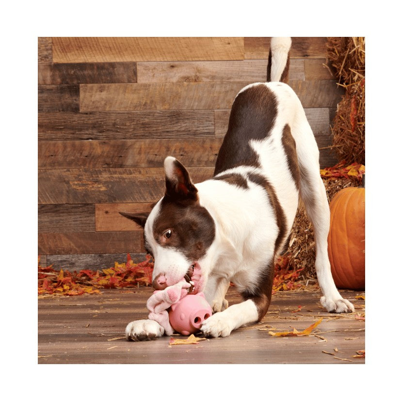 BARK Hambone - Super Chewer - Treat Dispenser - 2 in 1 Dog Toy