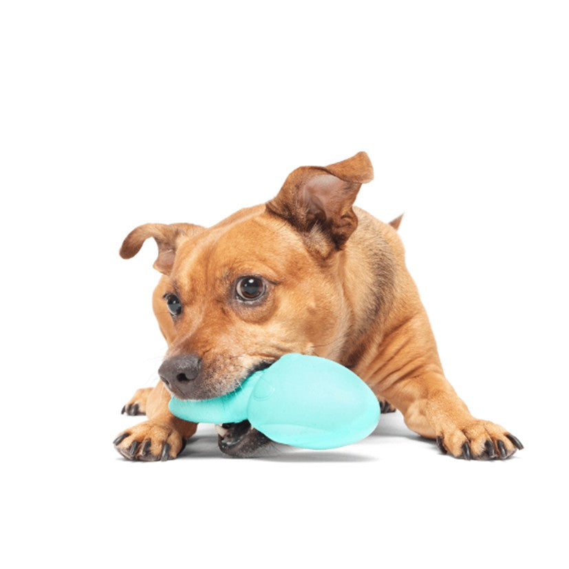 BARK Aurora Beast, Fairy Dogmother, P.B. Beaver & Whiz Squid - Super Chewer - 2 in 1 Dog Toy