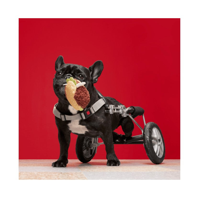 BARK Acornucopia, Blue Power Flower, Great White Dwight & Turkey Barker - Super Chewer Dog Toys