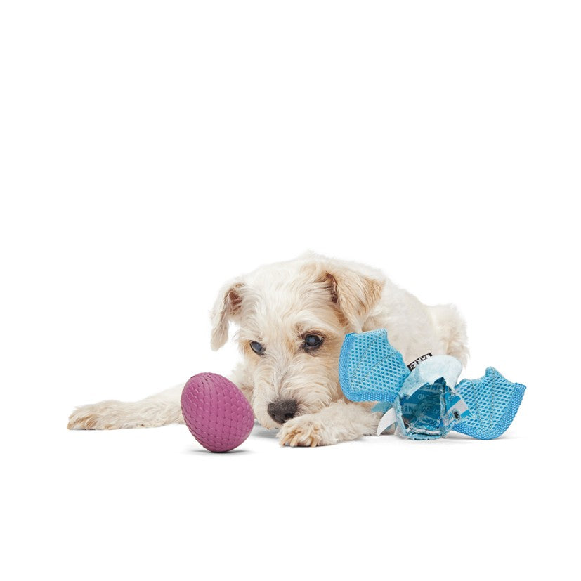 BARK Brrrtha The Dragon - Super Chewer - 2 in 1 Dog Toy