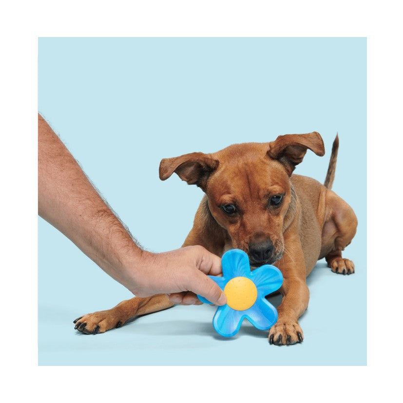BARK Acornucopia, Blue Power Flower, Great White Dwight & Turkey Barker - Super Chewer Dog Toys