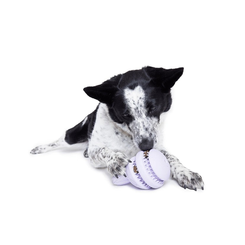BARK A Squeaky Meat-A-Ball, Habanero Pupper, Hare Raiser & Hippie Hopper - Super Chewer Dog Toys