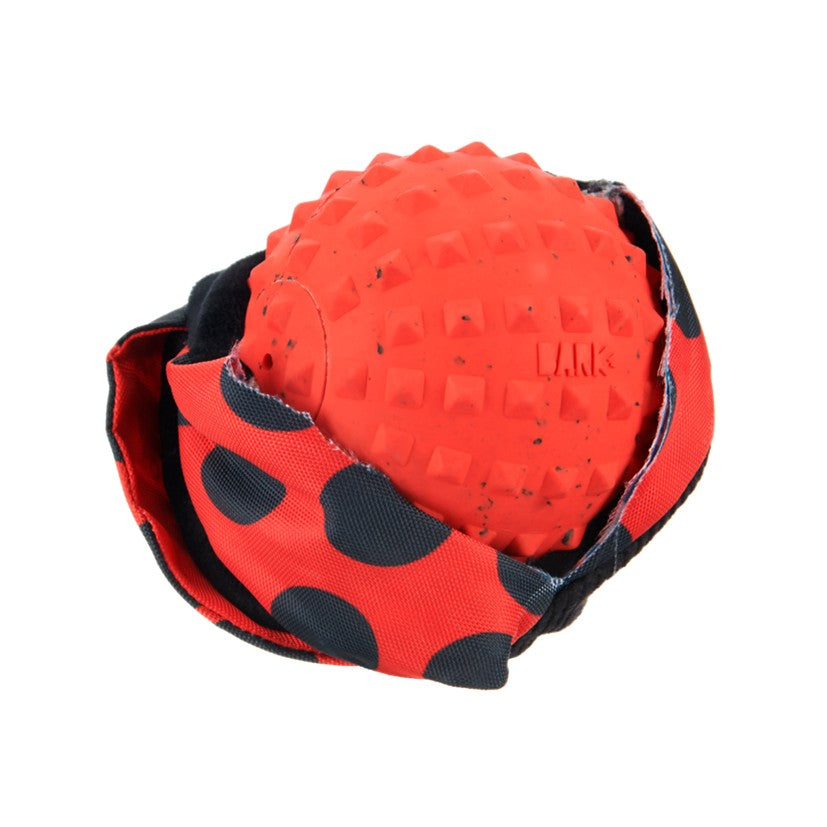 BARK Black Bear Bones, Lady Bugsy, Sonny The Sloth, Rad Herring - Super Chewer - 2 in 1 Dog Toy