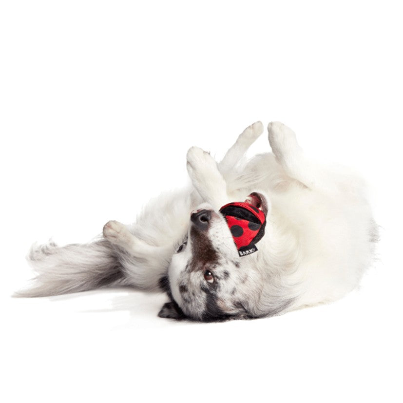 BARK Black Bear Bones, Lady Bugsy, Sonny The Sloth, Rad Herring - Super Chewer - 2 in 1 Dog Toy