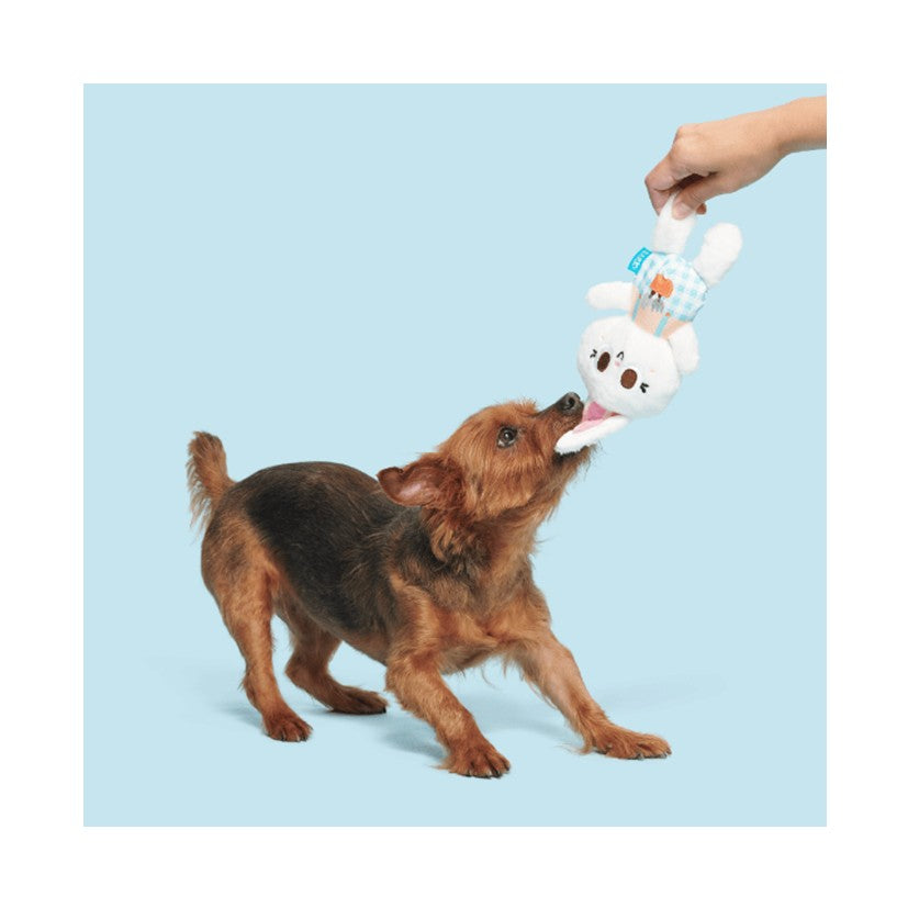 BARK Beau The Boar, Cup Of Bark Roast, Green Thumb Bun & Lil' Hennifer Soft Dog Toys