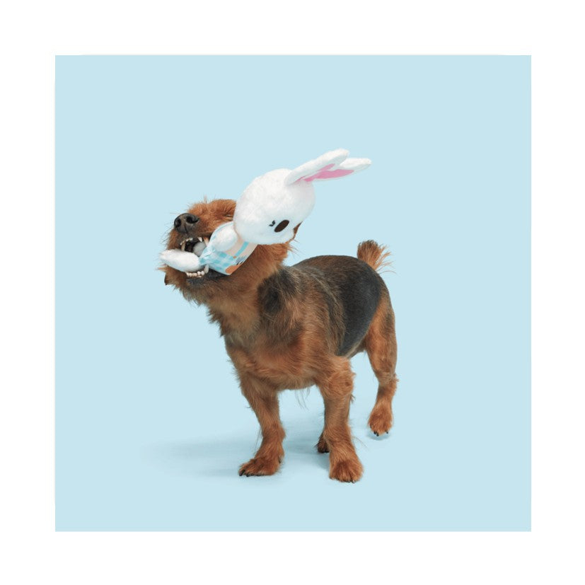 BARK Green Thumb Bun