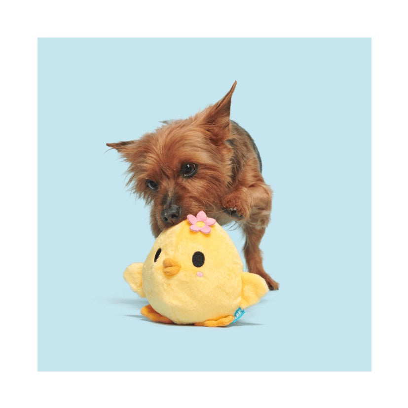 BARK Beau The Boar, Cup Of Bark Roast, Green Thumb Bun & Lil' Hennifer Soft Dog Toys