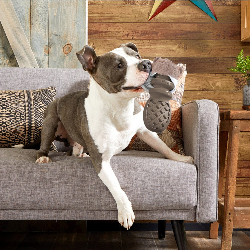 BARK P.B. Beaver - Super Chewer - 2 in 1 Dog Toy
