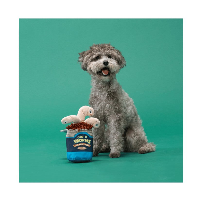 BARK Koa Koala, Live Bait Bites, Pearl Squirrel & The Groupers Soft Dog Toys