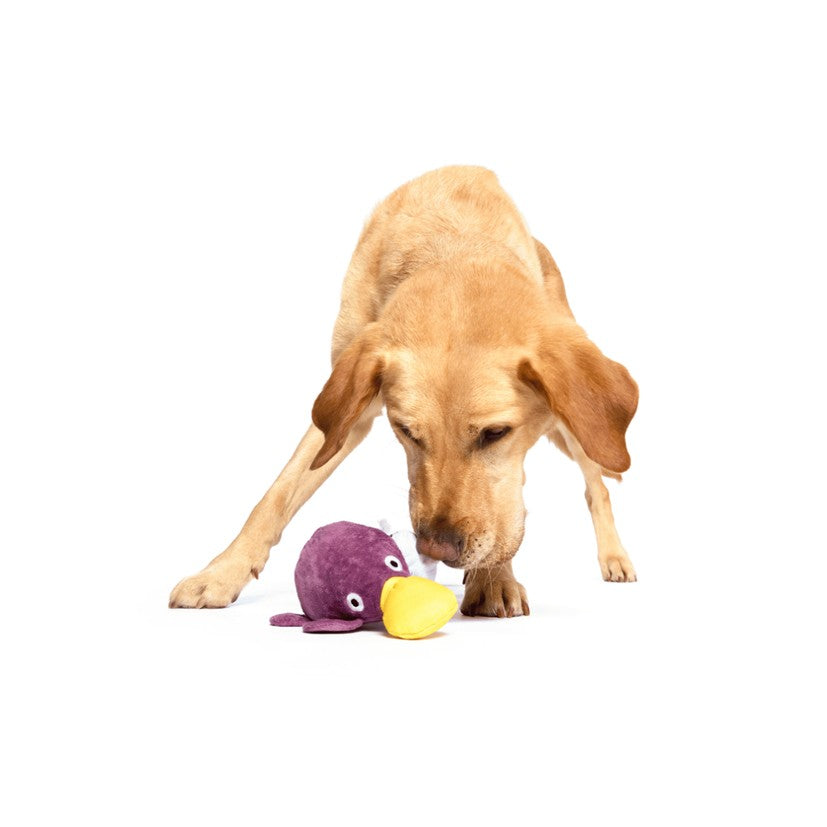 BARK Barkbeard's Rum, Karri Crocodile, Majestic Marty & Pippi Platypus Soft Dog Toys