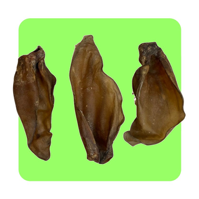 Buffalo Ears (Natural Dog Treats)