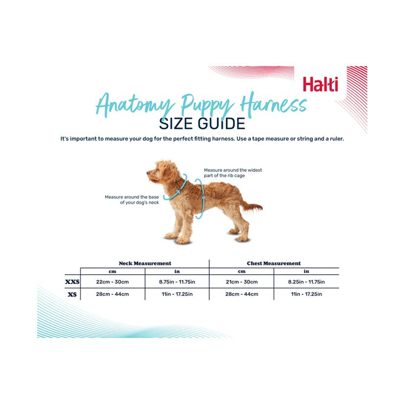 Halti Anatomy Puppy Harness