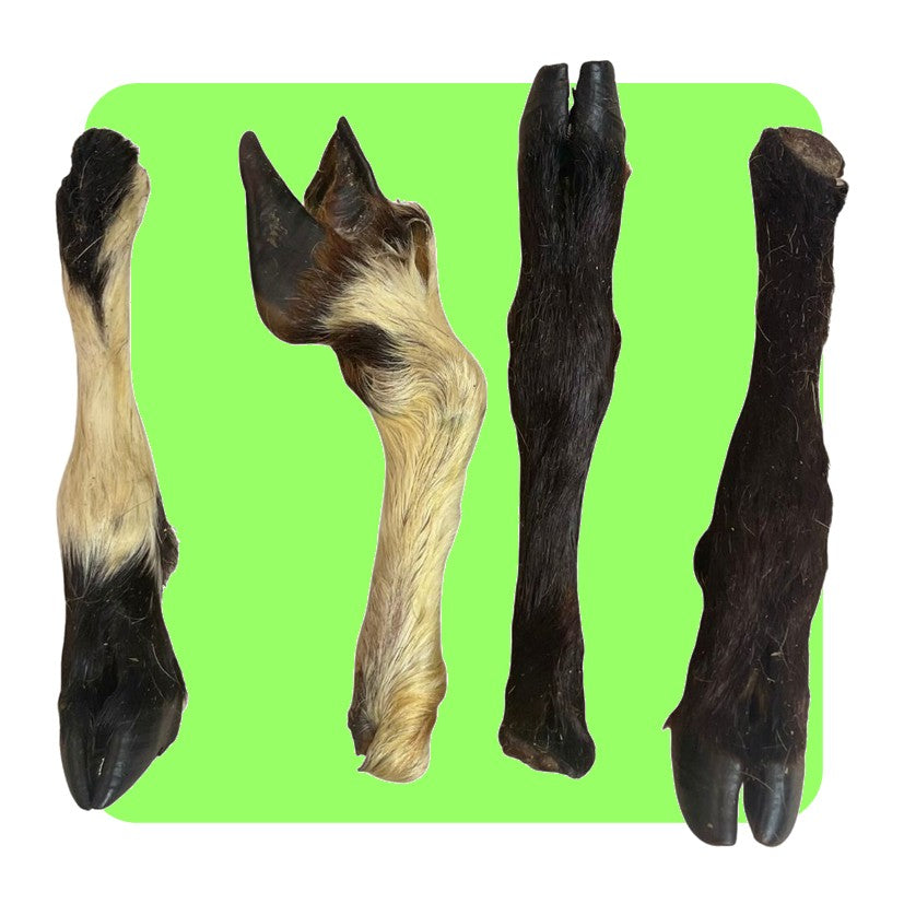 Hairy Lamb Trotter (Natural Dog Treats)