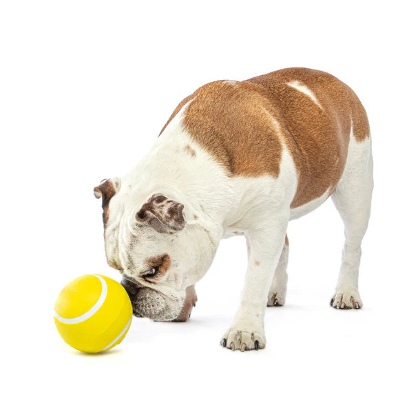 GURU Giggling Tennis Ball & Bobble Ball Giggling Treat Dispenser