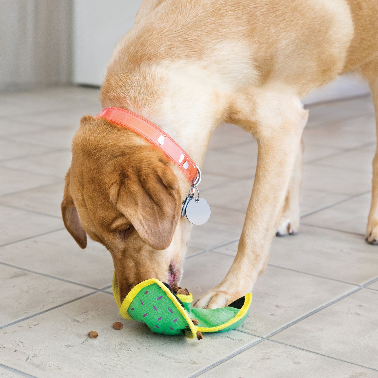 KONG Ballistic Hide n' Treat Assorted Treat Dispenser - 2 Sizes