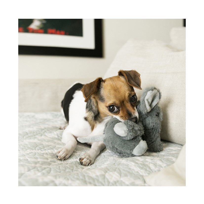 KONG Comfort Kiddos Elephant