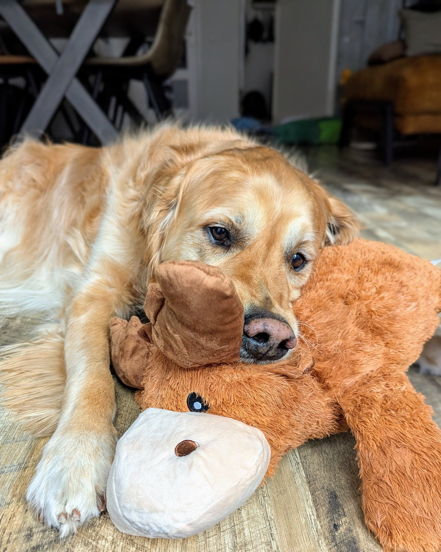 KONG Cozie Plush Soft Cuddly Dog Toy Range