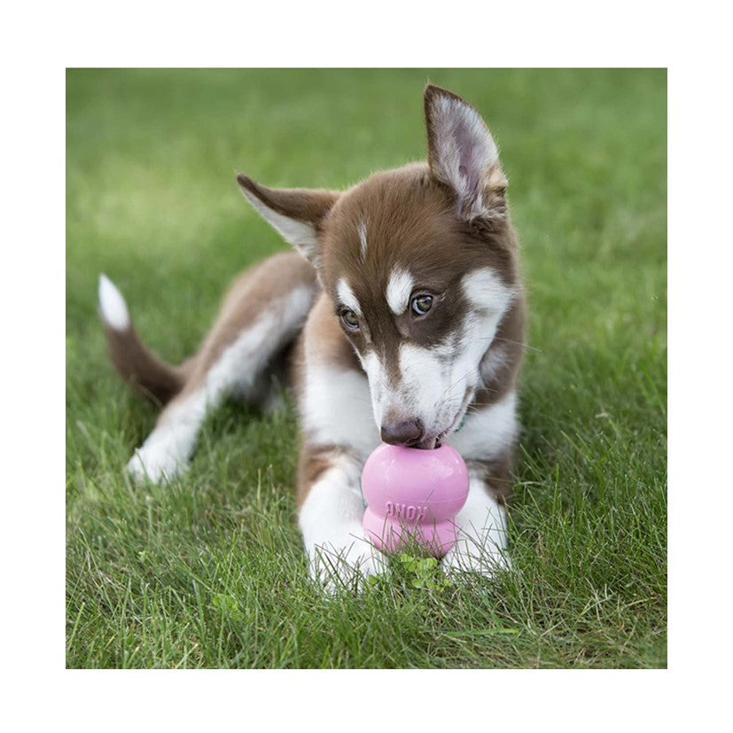 KONG Easy Treat Puppy - 226g