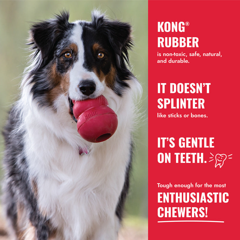 KONG Classic - 6 Sizes