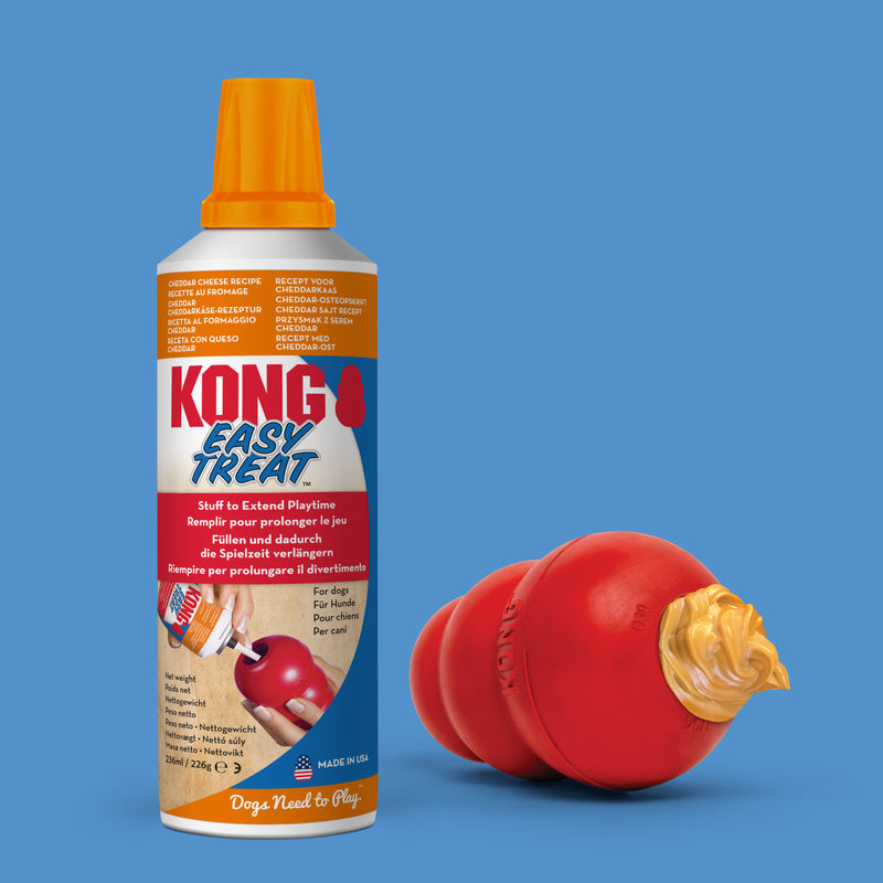 KONG Easy Treat - 4 Flavours