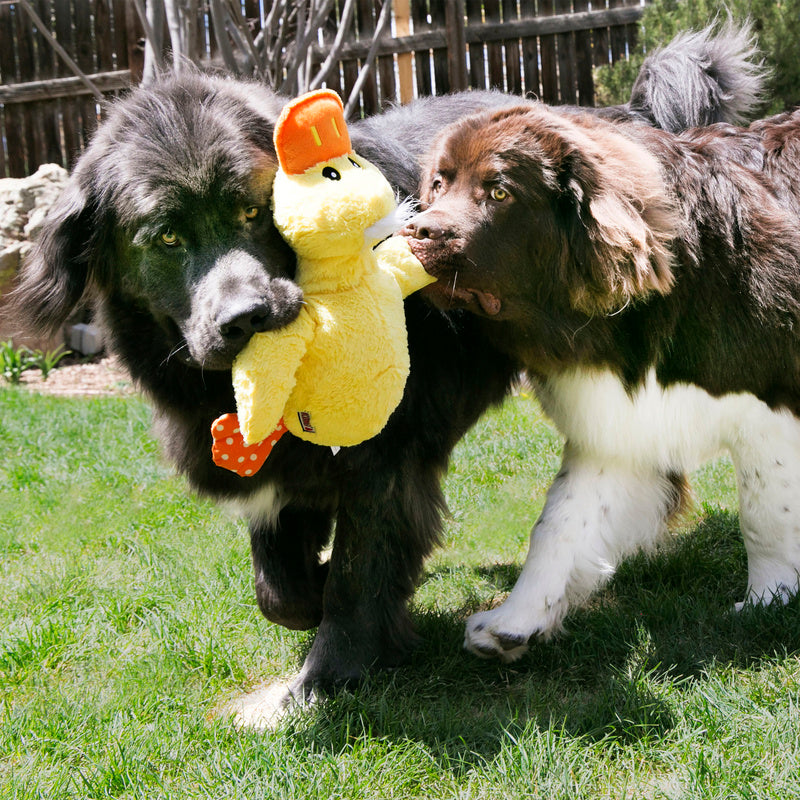 KONG Comfort Jumbo XL - Duck & Bird