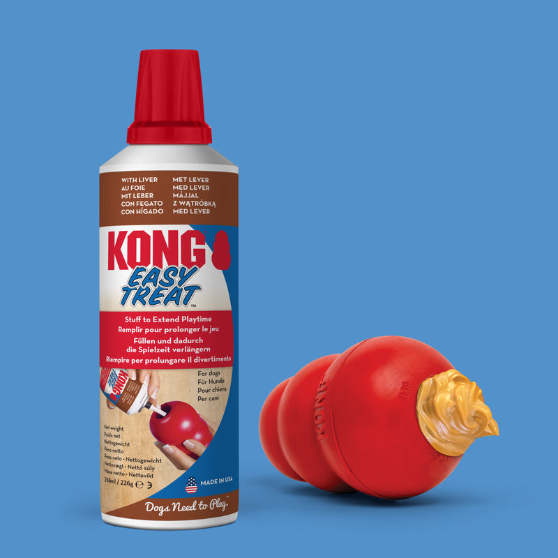 KONG Easy Treat - 4 Flavours