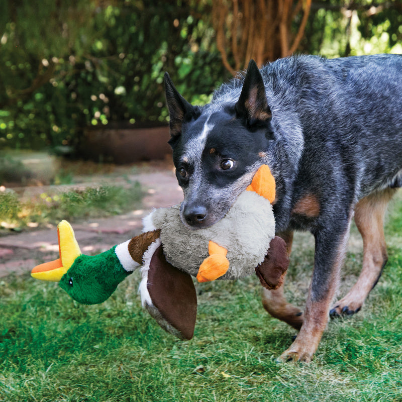 KONG Shakers Honkers Duck - 2 Sizes