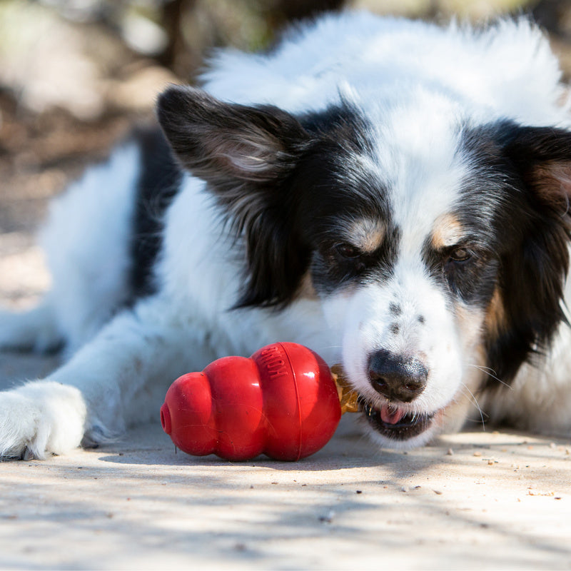 KONG Snacks - 2 Sizes, 4 Flavours