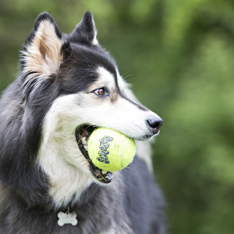 KONG Squeakair Ball with Rope